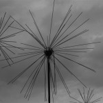 Elfenkleid Edition Black & White, Foto: Michael Dürr