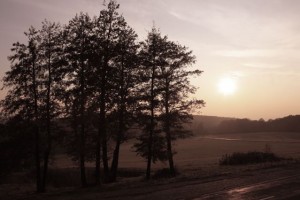 Foto: Michael Dürr